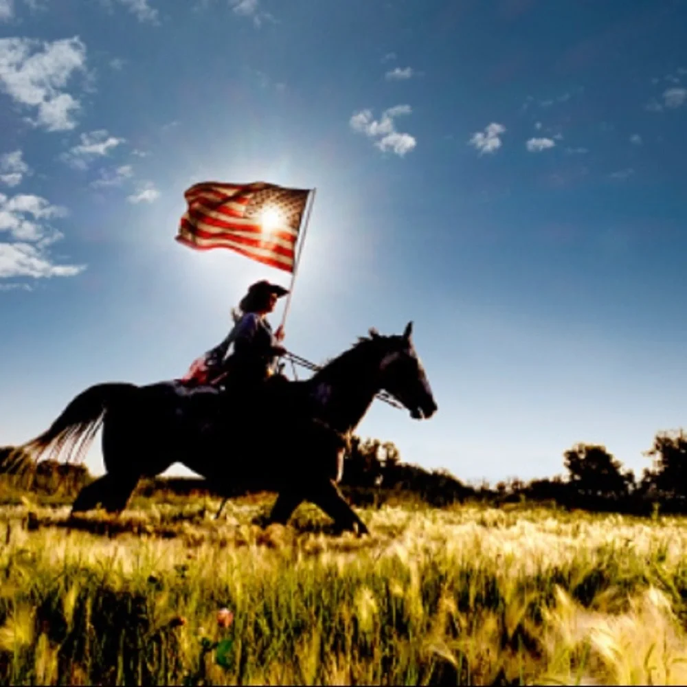 🇺🇸🇺🇸🇺🇸🇺🇸🇺🇸🇺🇸 - Picture 3 of 6